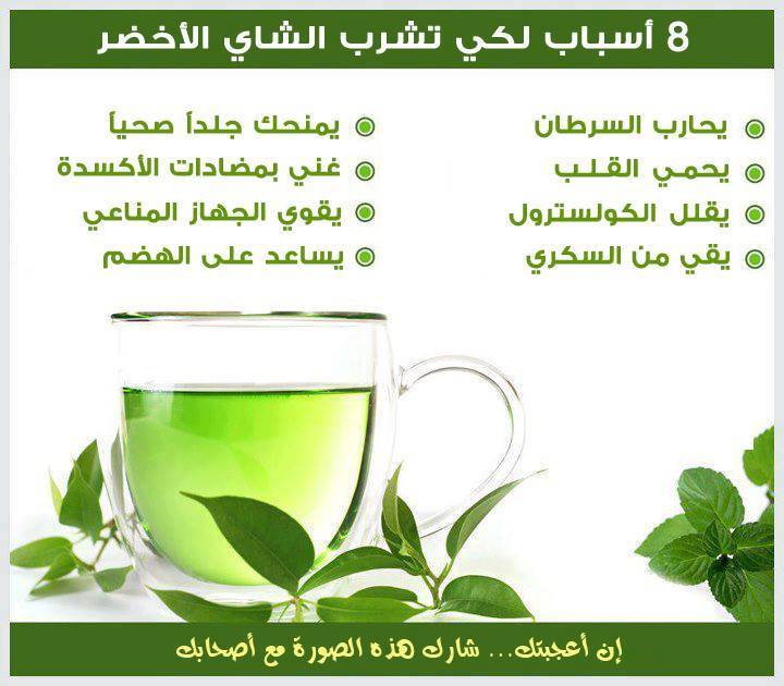 هنالك 8 أسباب لتفضّل شرب الشّاي الأخضر: