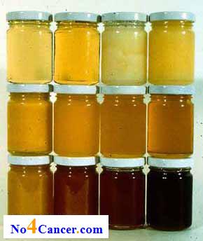 ما هو العسل الأبيض وما الفرق بينه وبين العادي او الأسود؟